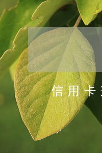 信用卡逾期市局刑侦支队