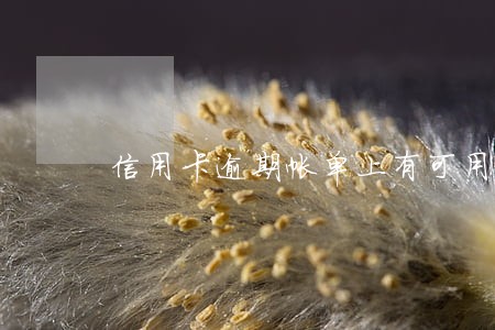 信用卡逾期帐单上有可用额度吗