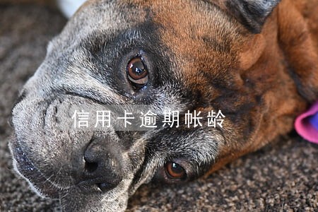 信用卡逾期帐龄 信用卡逾期帐龄