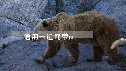 信用卡逾期带m 信用卡逾期带m