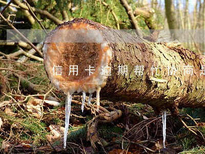 信用卡逾期帮忙协商是怎么收费 信用卡逾期帮忙协商是怎么收费