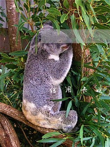 信用卡逾期平台不同意协商