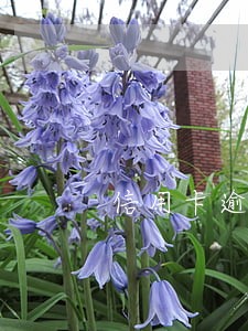 信用卡逾期平台帮助处理是真的吗 信用卡逾期平台帮助处理是真的吗