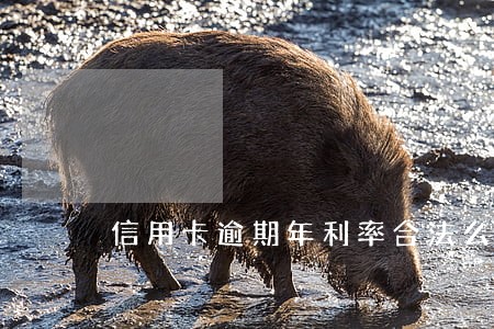 信用卡逾期年利率合法么 信用卡逾期年利率合法么
