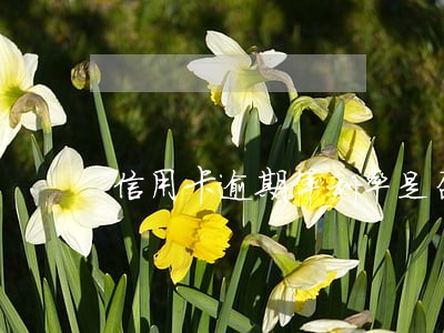 信用卡逾期年利率是否合法
