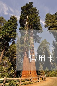 信用卡逾期年利率超过24 信用卡逾期年利率超过24