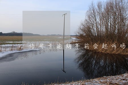 信用卡逾期年前会起诉吗 信用卡逾期年前会起诉吗