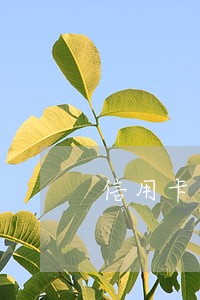 信用卡逾期年化利率计算 信用卡逾期年化利率计算