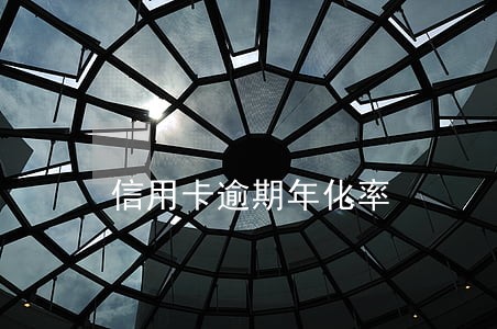 信用卡逾期年化率 信用卡逾期年化率