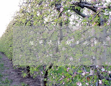 信用卡逾期年化率太高 信用卡逾期年化率太高