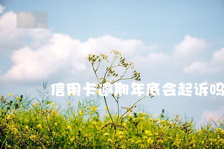 信用卡逾期年底会起诉吗 信用卡逾期年底会起诉吗