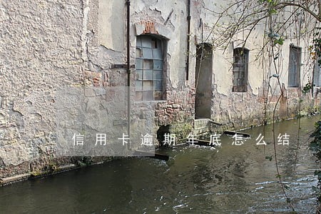 信用卡逾期年底怎么结 信用卡逾期年底怎么结