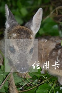 信用卡逾期年底还清可以吗