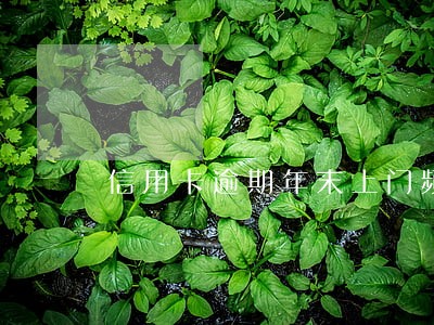 信用卡逾期年末上门频繁 信用卡逾期年末上门频繁