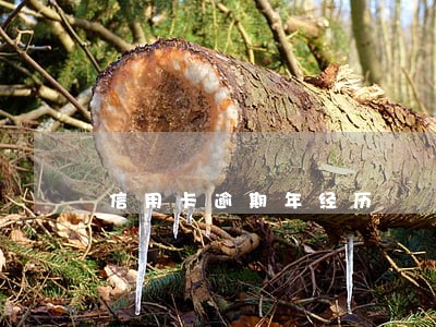 信用卡逾期年经历 信用卡逾期年经历