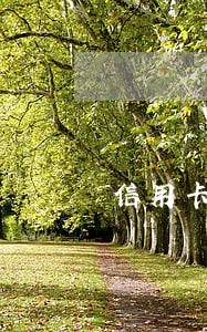 信用卡逾期年费怎么取消