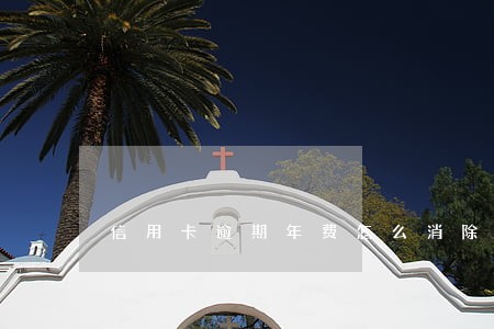 信用卡逾期年费怎么消除