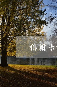 信用卡逾期并被告上法庭怎么办