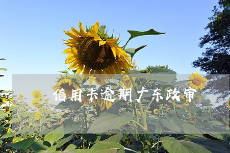信用卡逾期广东政审 信用卡逾期广东政审