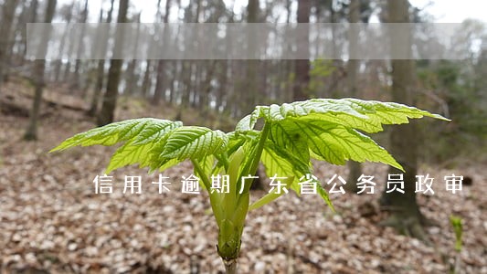 信用卡逾期广东省公务员政审 信用卡逾期广东省公务员政审