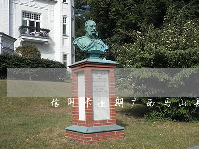 信用卡逾期广西马山县新杨 信用卡逾期广西马山县新杨