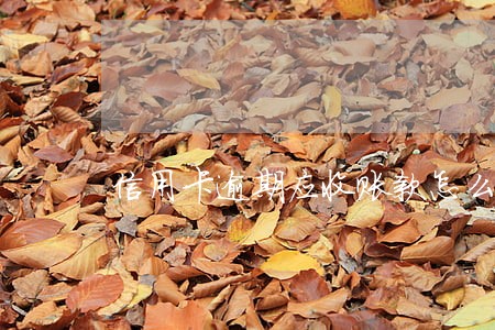 信用卡逾期应收账款怎么办