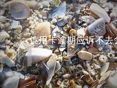 信用卡逾期应诉不去会怎样 信用卡逾期应诉不去会怎样