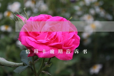 信用卡逾期应诉书 信用卡逾期应诉书