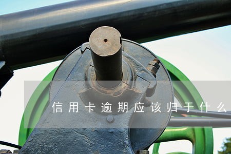 信用卡逾期应该归于什么案件