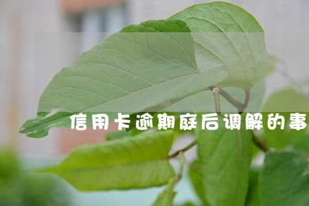 信用卡逾期庭后调解的事情 信用卡逾期庭后调解的事情