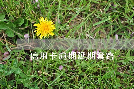 信用卡逾期延期套路 信用卡逾期延期套路