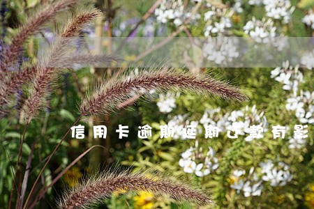 信用卡逾期延期还款有影响吗 信用卡逾期延期还款有影响吗