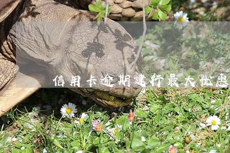 信用卡逾期建行最大优惠力度