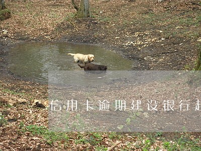 信用卡逾期建设银行起诉花旗 信用卡逾期建设银行起诉花旗