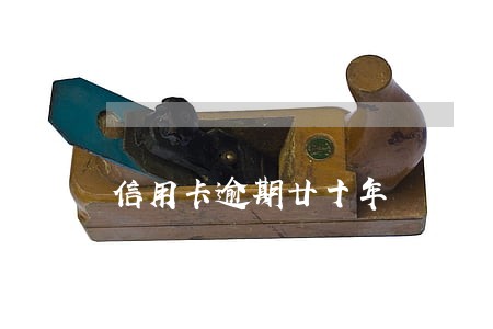 信用卡逾期廿十年 信用卡逾期廿十年