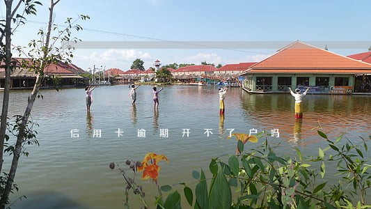 信用卡逾期开不了户吗 信用卡逾期开不了户吗