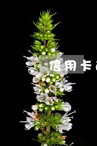 信用卡逾期开储蓄卡银行卡吗 信用卡逾期开储蓄卡银行卡吗