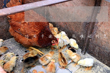 信用卡逾期开困难证明怎么写 信用卡逾期开困难证明怎么写
