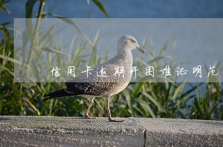 信用卡逾期开困难证明范本 信用卡逾期开困难证明范本