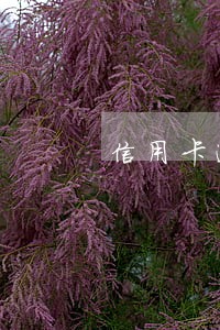 信用卡逾期开始还一点 信用卡逾期开始还一点
