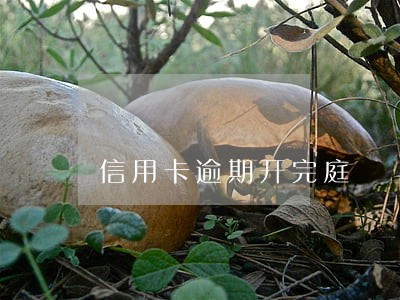 信用卡逾期开完庭 信用卡逾期开完庭
