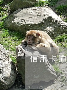 信用卡逾期开庭了还会有二审吗 信用卡逾期开庭了还会有二审吗