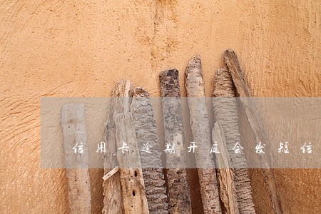 信用卡逾期开庭会发短信过来吗