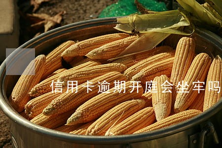 信用卡逾期开庭会坐牢吗