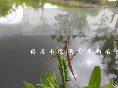 信用卡逾期开庭判决书 信用卡逾期开庭判决书