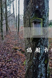 信用卡逾期开庭后多久 信用卡逾期开庭后多久
