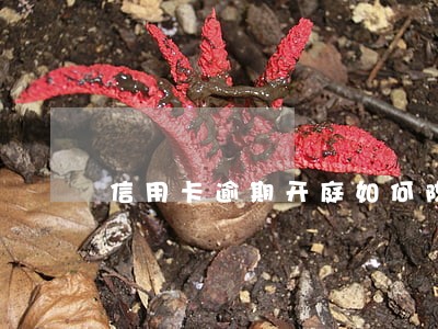 信用卡逾期开庭如何陈述 信用卡逾期开庭如何陈述