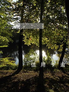 信用卡逾期开庭怎么通知 信用卡逾期开庭怎么通知