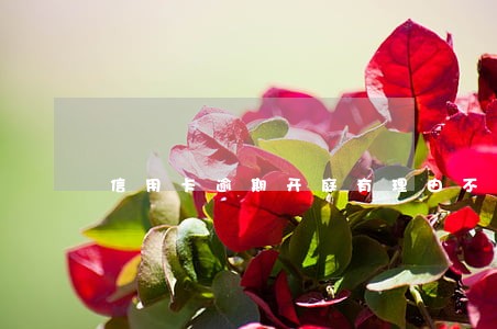 信用卡逾期开庭有理由不去吗