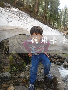 信用卡逾期开庭缺席的多不多
